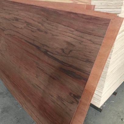 RED MERANTI PLYWOOD